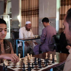 Талибы запретили шахматы в Афганистане