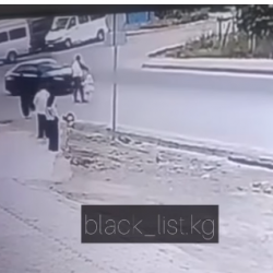 Кызы менен жолдо өтүп бараткан жаран сабалган. Кол салган айдоочу табылды