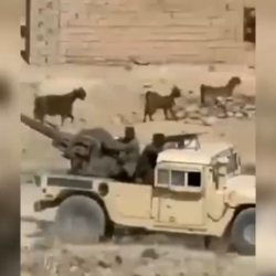 На границе Афганистана и Пакистана произошли столкновения, - «Аль-Арабия»