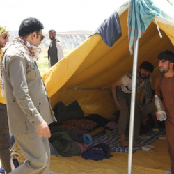 Афганские власти сообщили, что Таджикистан депортировал 49 афганских мигрантов