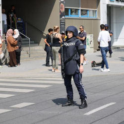 В школе в Австрии произошла стрельба, погибли не менее восьми человек