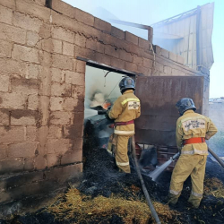 18 бука күйүп кетти. Ысык-Атада фермадан ири өрт чыкты