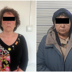 Подделывали документы, отправляли в психбольницы. Задержаны «черные риелторы»