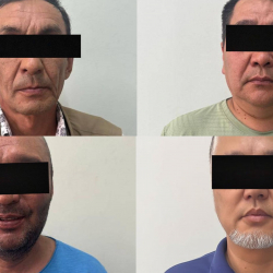 ИИМ Камчы Көлбаевдин инисинин кармалышы боюнча маалымат берди