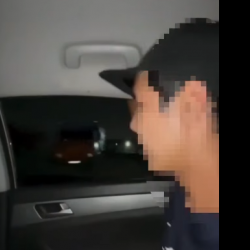 Унаада ок чыгарган өспүрүмдөр аныкталды