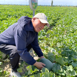 Лю Вэй: Айыл-чарбаны өнүктүрүү дыйкандар үчүн жакшы өбөлгө