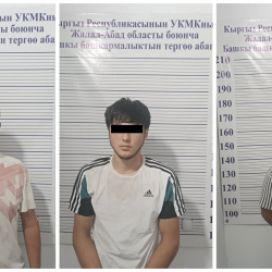 Жалал-Абадда рейдерлик жол менен жер тилкелерин басып алган шектүүлөр кармалды