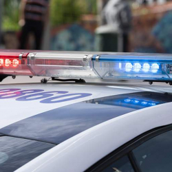 Мексикада 381 адамдын сөөгү табылды