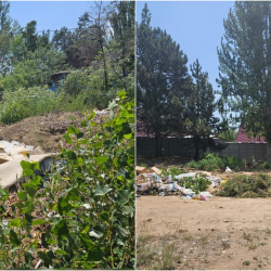 Ысык-Көлдөгү пансионаттар айып пул төлөштү