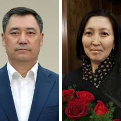 Разжигает огонь между двумя странами. Президент о деле Канышай Мамыркуловой