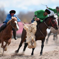 Көк бөрү боюнча президенттин кубогу өтөт