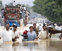 Пакистанда муссон жамгырларынын кесепетинен 279 адам каза болду