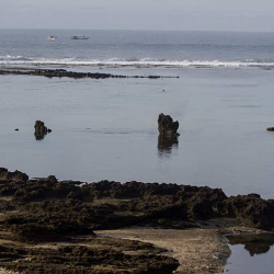 Угрозу цунами объявили в Индонезии после сильного землетрясения