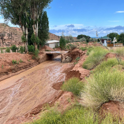 Ысык-Көлдө сел жүрүп, 70ке жакын адам эвакуацияланды