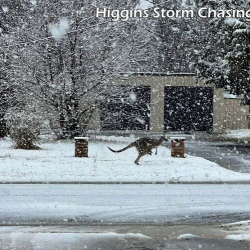 Австралию накрыл самый мощный почти за 40 лет снегопад