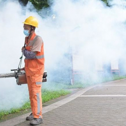 В Китае из-за вируса чикунгунья ввели меры как во время пандемии COVID-19