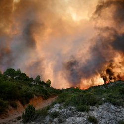 Во Франции разгорелся крупнейший с 1949 года лесной пожар