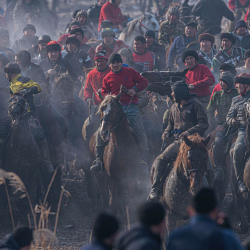 УКМК: Аламан улак федерациясы түзүлдү