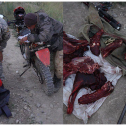 Нарында мыйзамсыз кийик аткандар кармалды