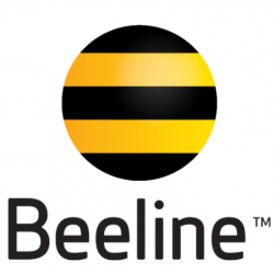 Мамлекеттик «Элдик Банк» «Скай Мобайл» компаниясын (Beeline Кыргызстан бренди) сатып алды