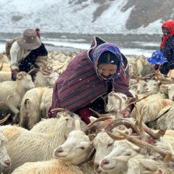 60 жылдык прогресс: Тибет бардык тармактарда өнүгүү жолунда