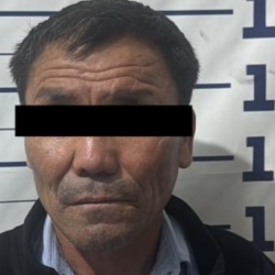 Бишкекте өз кызын зордуктоого шектелген адам кармалды