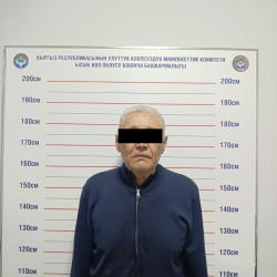 Чок-Талдагы 4,5 га жер боюнча «Кадастрдын» мурдагы бөлүм башчысы кармалды