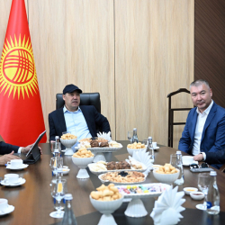 Президент Садыр Жапаров Нарын облусун өнүктүрүү пландары менен таанышты