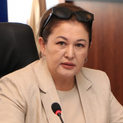 Гүлшаркан Култаева БШК мүчөсү кызматынан мөөнөтүнөн мурда бошотулду