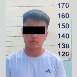 Сөөгү дааратканадан табылган. Бишкекте адам өлтүрүүгө шектелип 17 жаштагы бала кармалды