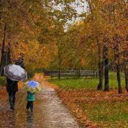 Өлкө аймагында абанын температурасы кескин төмөндөйт