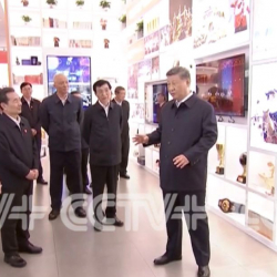 CCTV+: Си Цзиньпин посетил выставку, посвященную 70-летию основания Синьцзян-Уйгурского автономного района