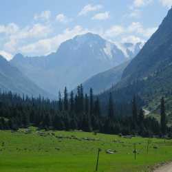 Тимур Саралаев: Жетим-Тоо казылып жатат деген миф!