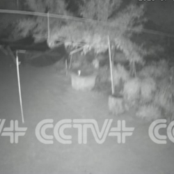 Землетрясение магнитудой 5,6 произошло в пров. Ганьсу на северо-западе Китая