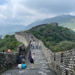 Кытайга визасыз кирген чет элдиктердин саны кескин өстү