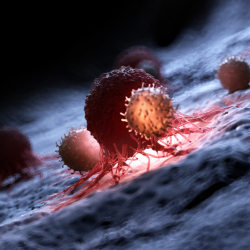 Ученые разработали способ снизить побочные эффекты лечения рака