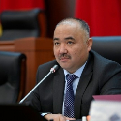 Тургунбек уулу Нурланбек саясий жоопкерсиздиктин символубу?