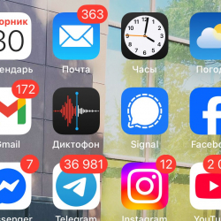 Тажикстанда балдарга социалдык тармактарга кирүүгө тыюу салуу сунушталды