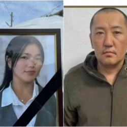 Заявление Верховного суда в отношении гражданина, убившего покойную Айсулуу