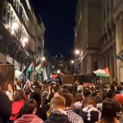 Митинги по всему миру начались после перехвата флотилии «Сумуд» Израилем