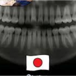 Япон окумуштуулары тишти кайра өстүрө турган дары ойлоп табышты