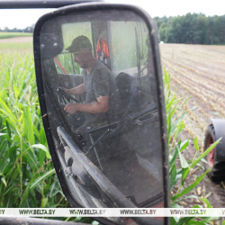 Белоруссияда дан жыйноо аяктап  кышкы себүү план боюнча жүрүүдө