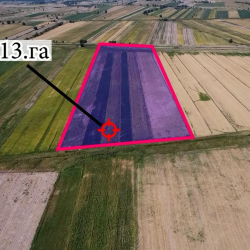 ГКНБ вернул государству 200 гектаров земли в Иссык-Атинском районе