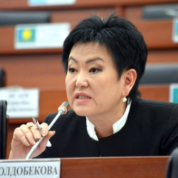 Салмагың кандай саясатчы? Гүлкан Молдобекова эмнесине ишенип жатат, акчасынабы же аброюнабы?