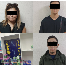 “Соке” каймана аттуу жаран кармалды