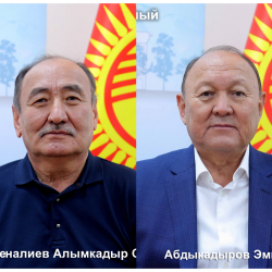 Экс-министр, экс-мэр... БШКга дагы кимдер арыз берди?