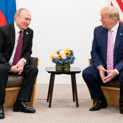 Путин Трамптын «кагаз жолборс» деген билдирүүсүнө жооп берди