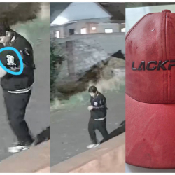 МВД: Разыскивается подозреваемый в убийстве