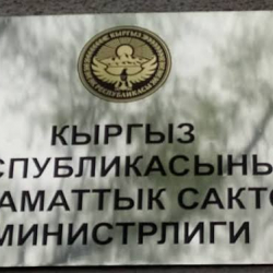 Министрлик КРВИ жана сасык тумоонун алдын алуу эрежелерин сунуштады