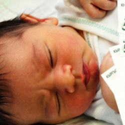 “Бала Береке” жөлөк пулунун өлчөмдөрү аныкталды